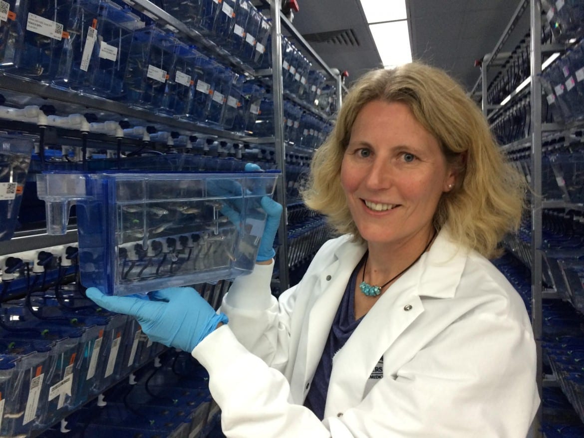 Dr. Tatjana Piostrowski's research focuses on links between the zebrafish and restoring human hearing loss. (Photo: Alex Smith | Heartland Health Monitor)