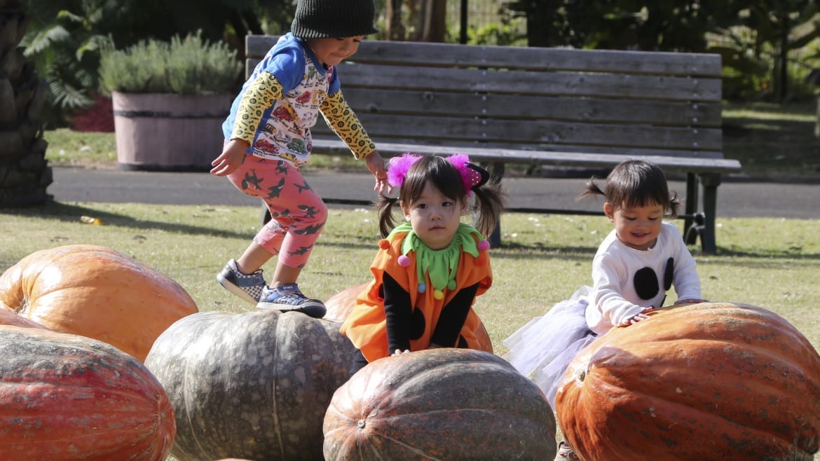 Children playing on pumpkins