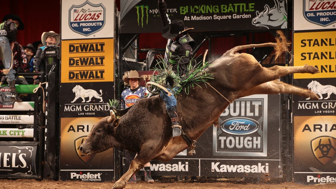 JB Mauney rides Cornwell Bucking Bulls's Blue Hurricane for 85 during the first round of the New York City Built Ford Tough series PBR. Photo by Andy Watson