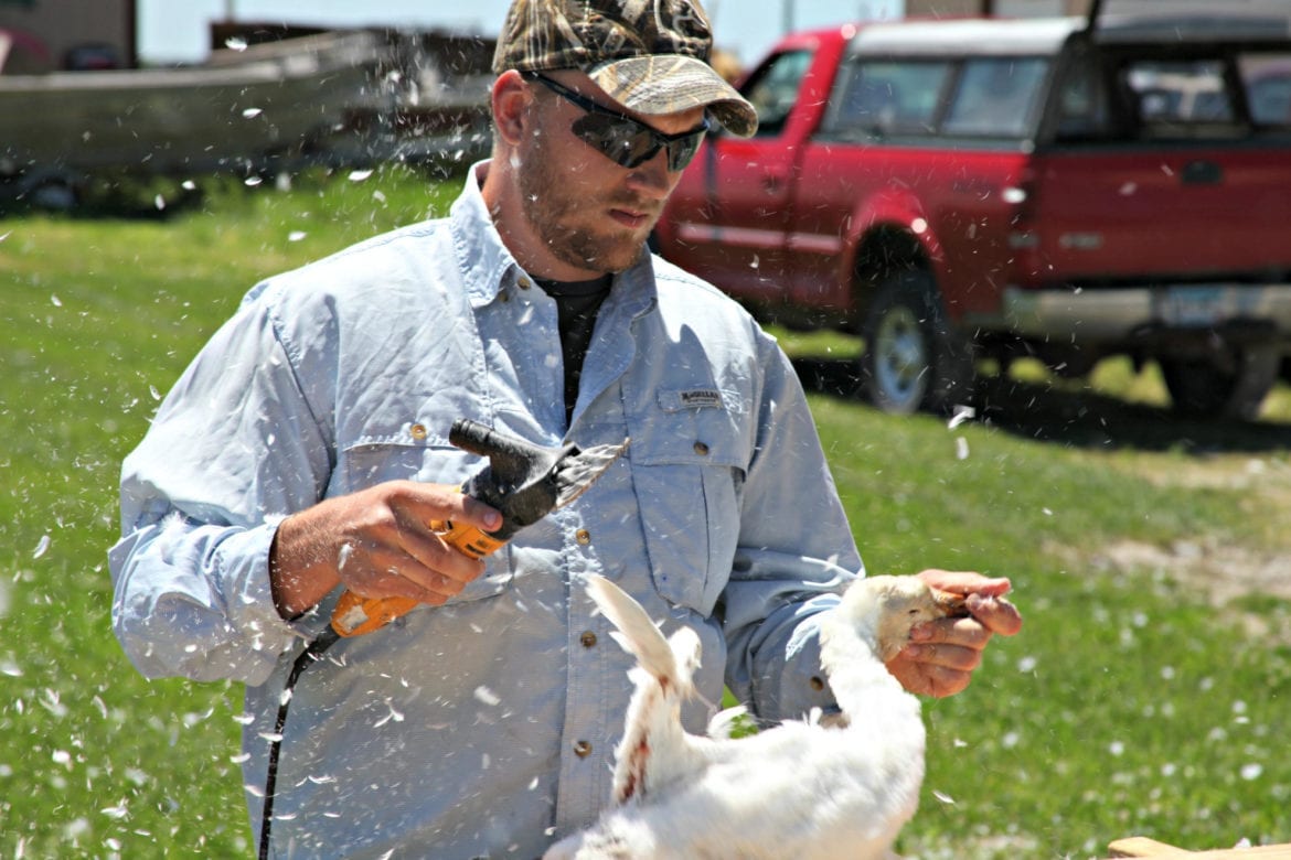 University of Missouri graduate student Drew Fowler holds a snow goose.