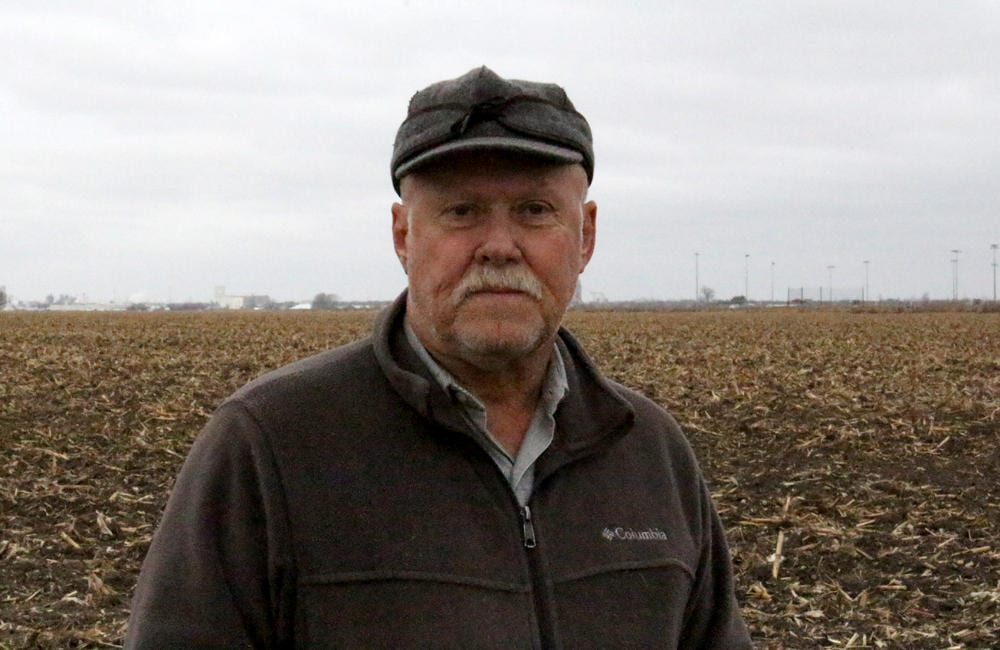 A man in a cornfield.