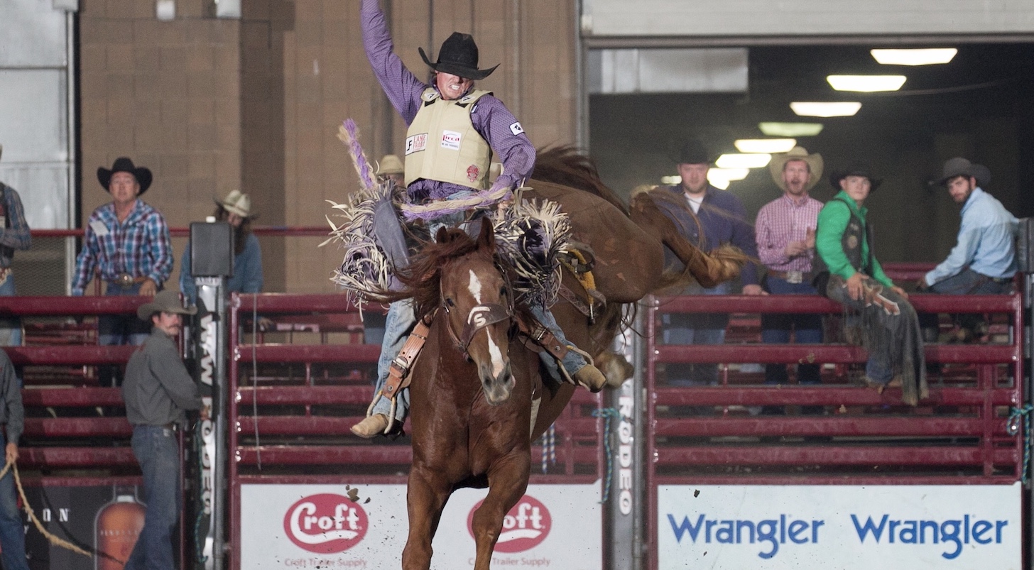 Weekend Possibilities American Royal Rodeo, Harry Potter Day at