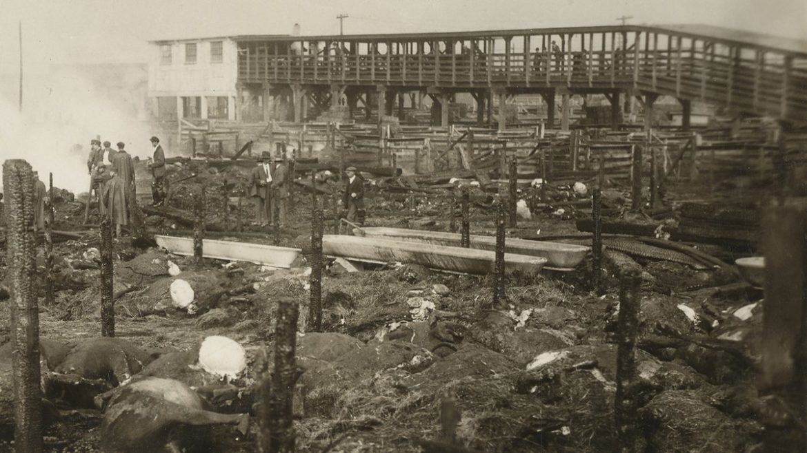 The aftermath of the West Bottoms stockyard fire of 1917.