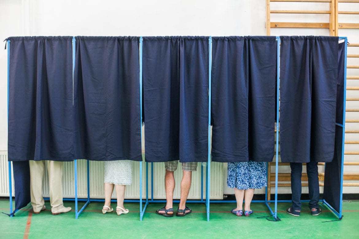 Photo of voters in voting booths.