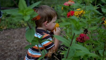 A young child sniffs a native flower at Powell Gardens' butterfly garden.
