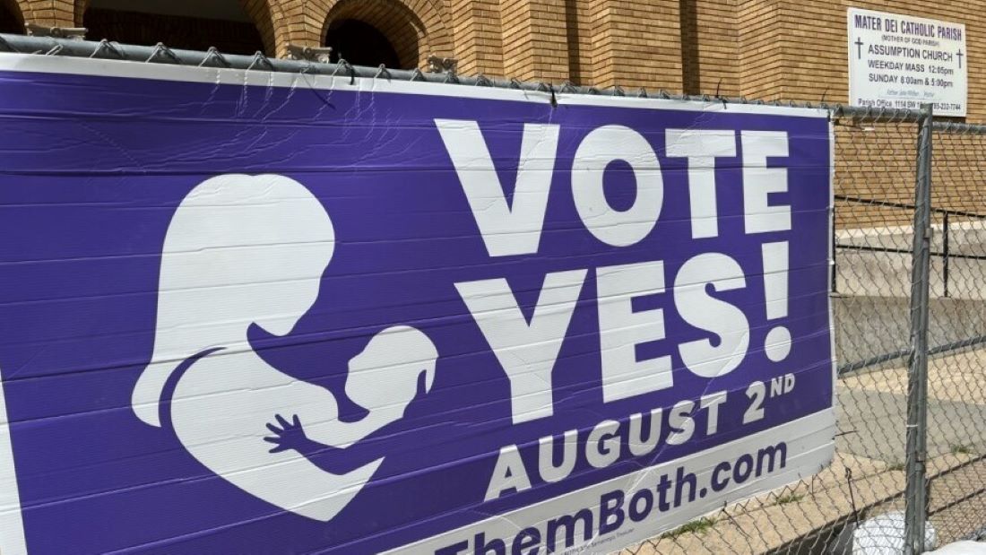 Campaign sign in favor of restricting abortion rights.