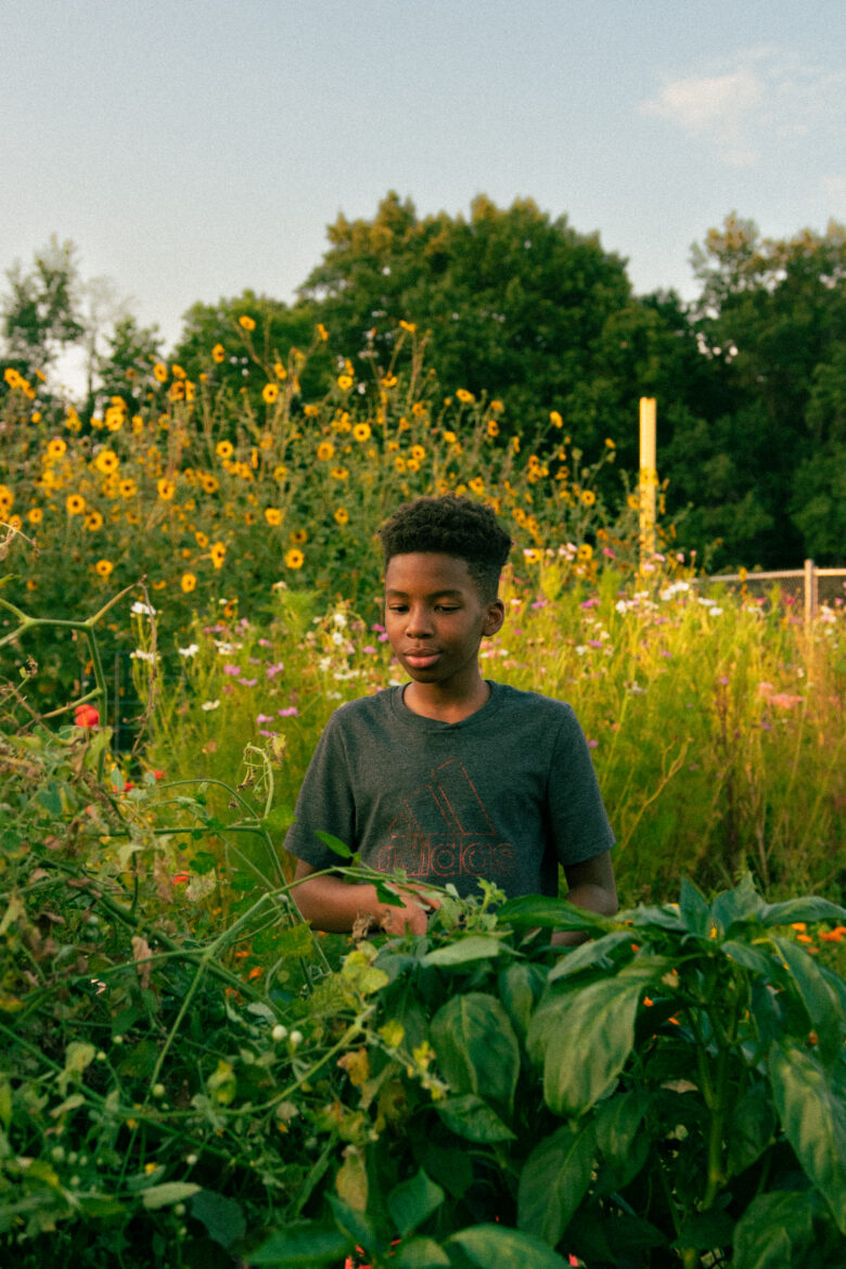 A young Black boy in a field of vegetable garden beds and flower bed at Kansas City Community Garden on Kensington Avenue. Photo by Ji Stribling.