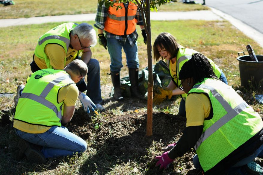 People planting a tree.