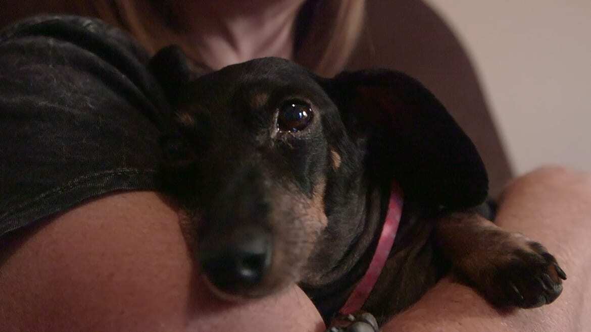 Woman holding a small dog