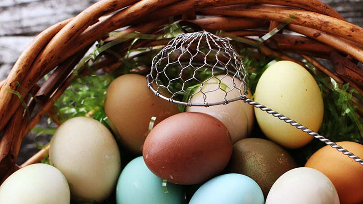 Easter eggs in a basket