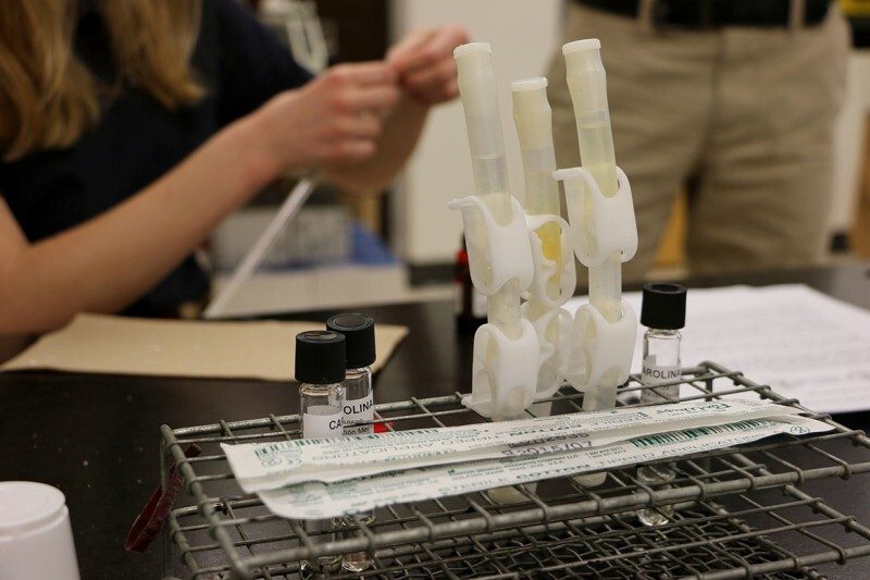 Photo of three tubes on a lab table.