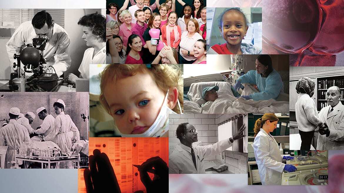 Series of images from "Cancer: Emperor of All Maladies."