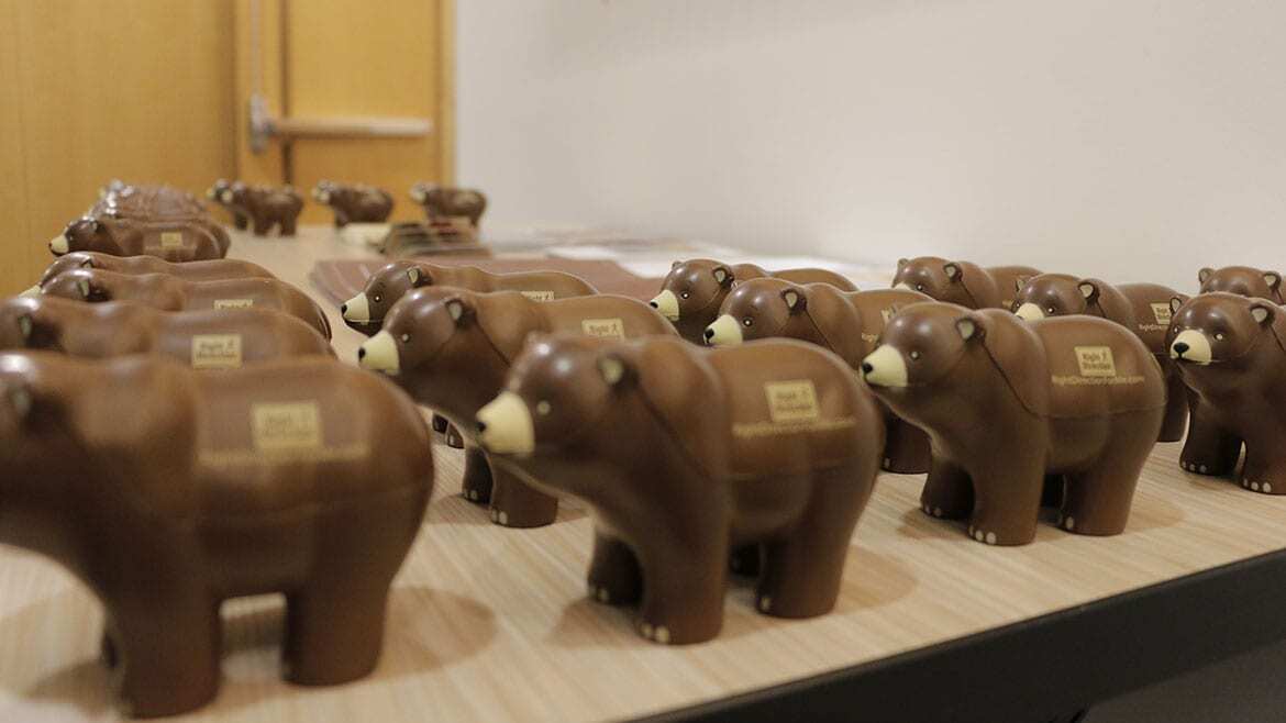 Bear-shaped stress balls