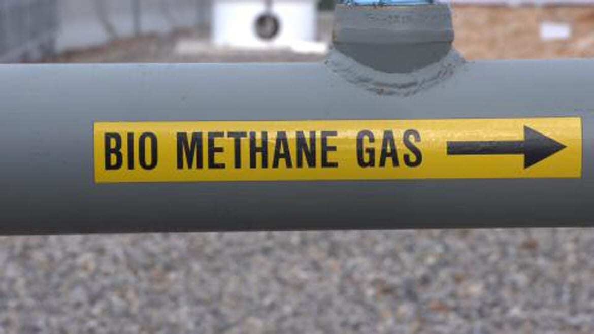 Grand Junction, Colo., is now the first city in the U.S. to fuel its vehicle fleet with natural gas produced from human waste. (Photo: Rebecca Jacobson | Harvest Public Media)