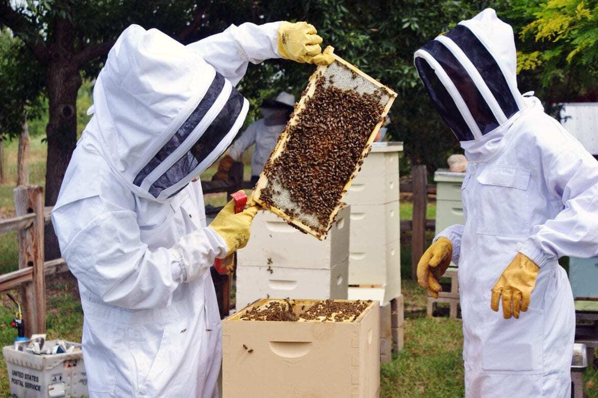 bee keepers