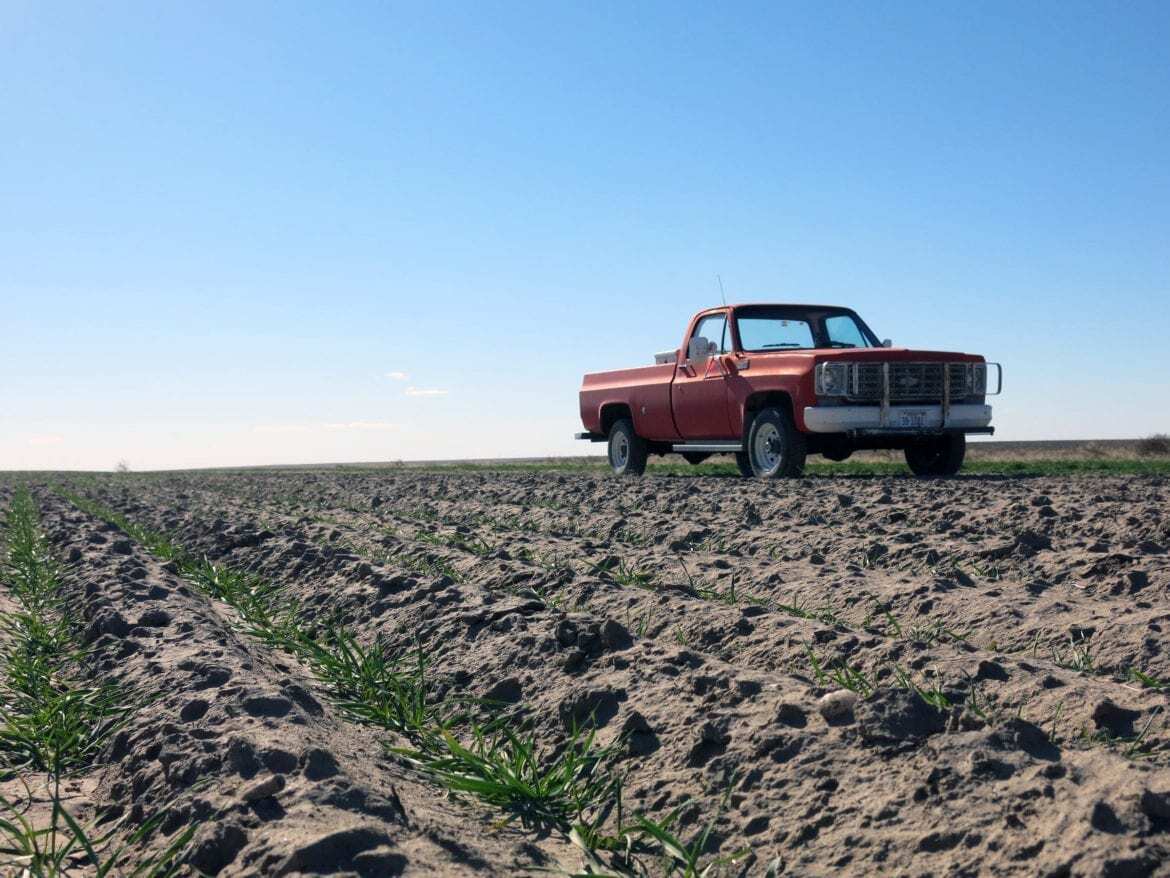A field.