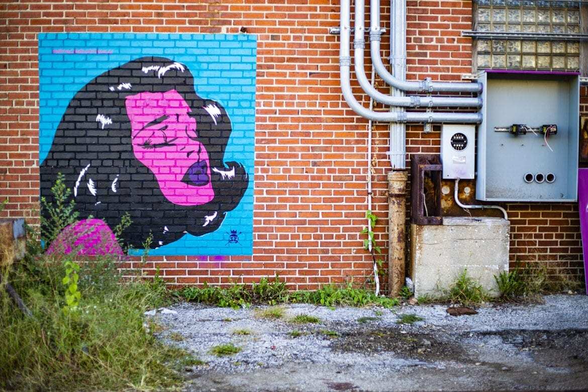 In an alley off 19th and Main streets (Brad Austin | Flatland)