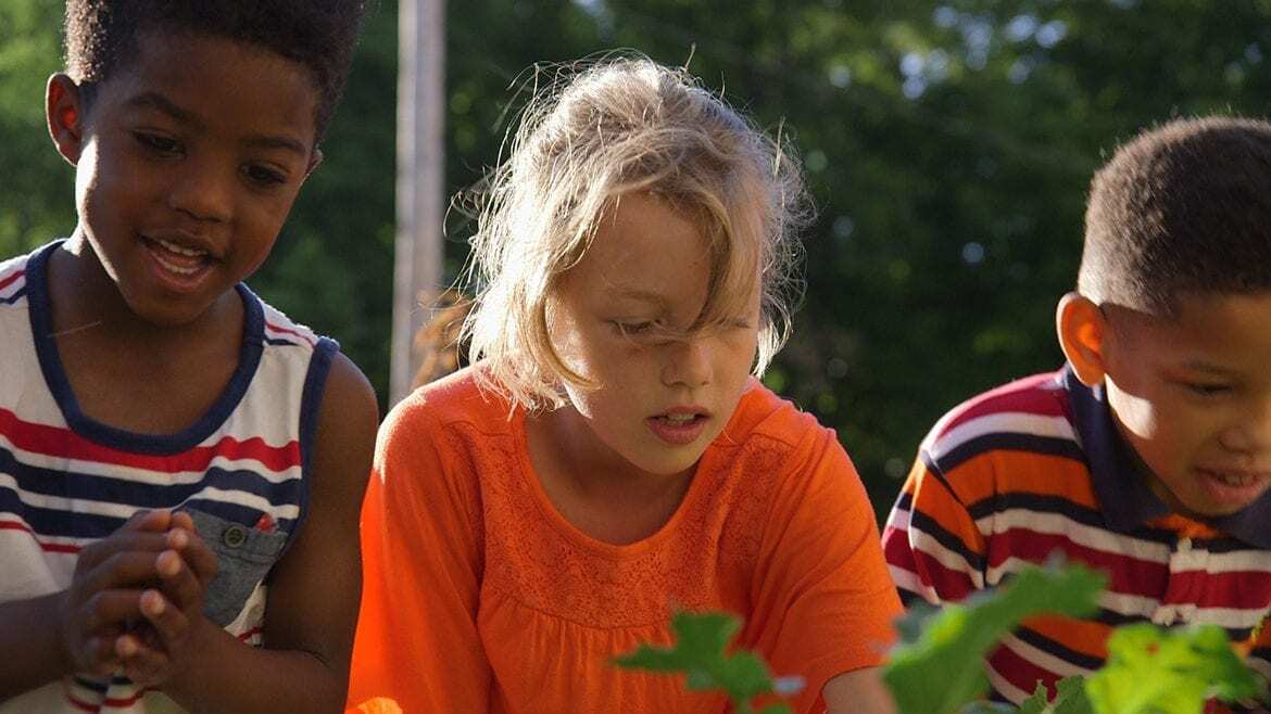 kids gardening