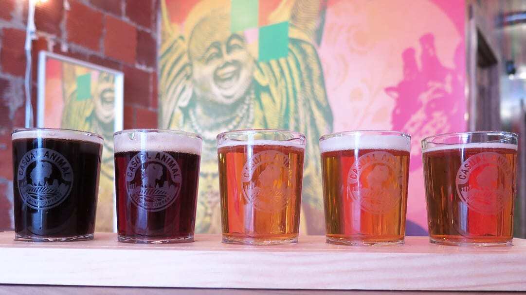 Casual Animal has a couple new options for its flights