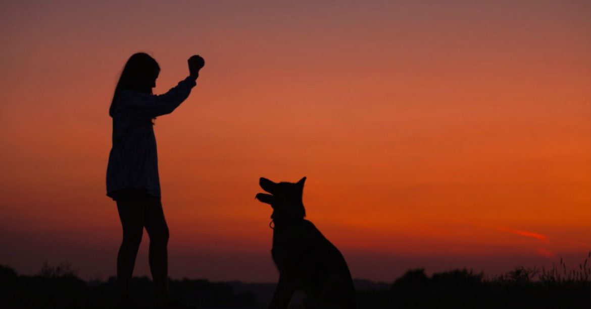 Woman with her dog in the sunset