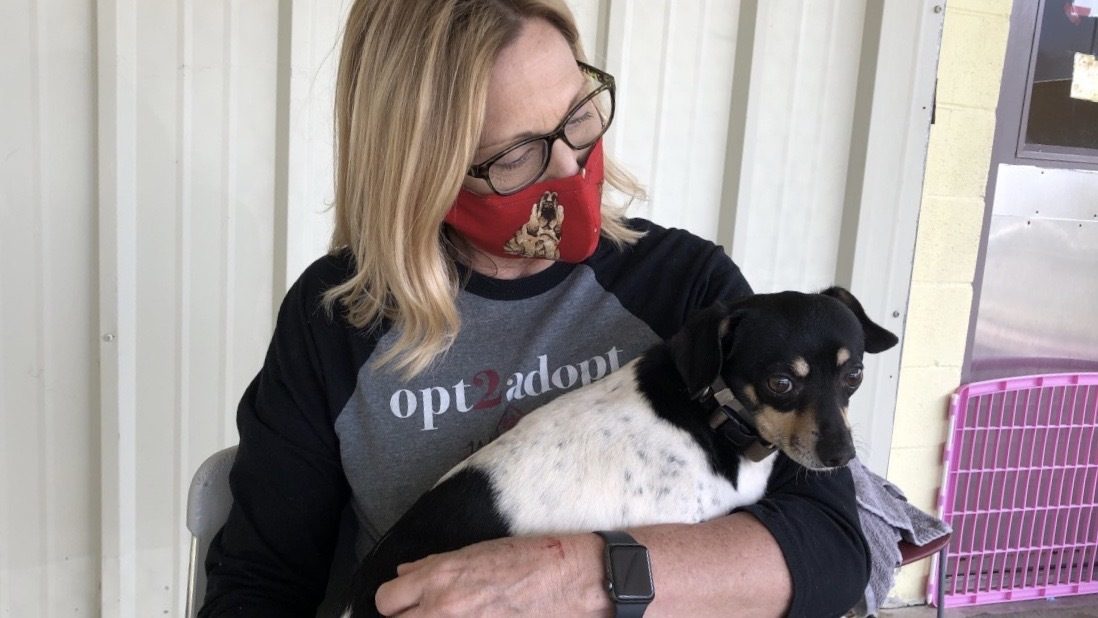 A masked woman holds a dog.