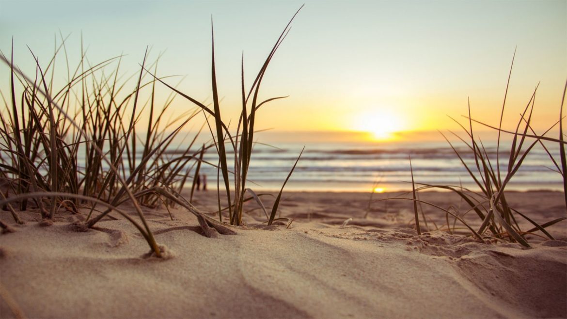 A beach scene.