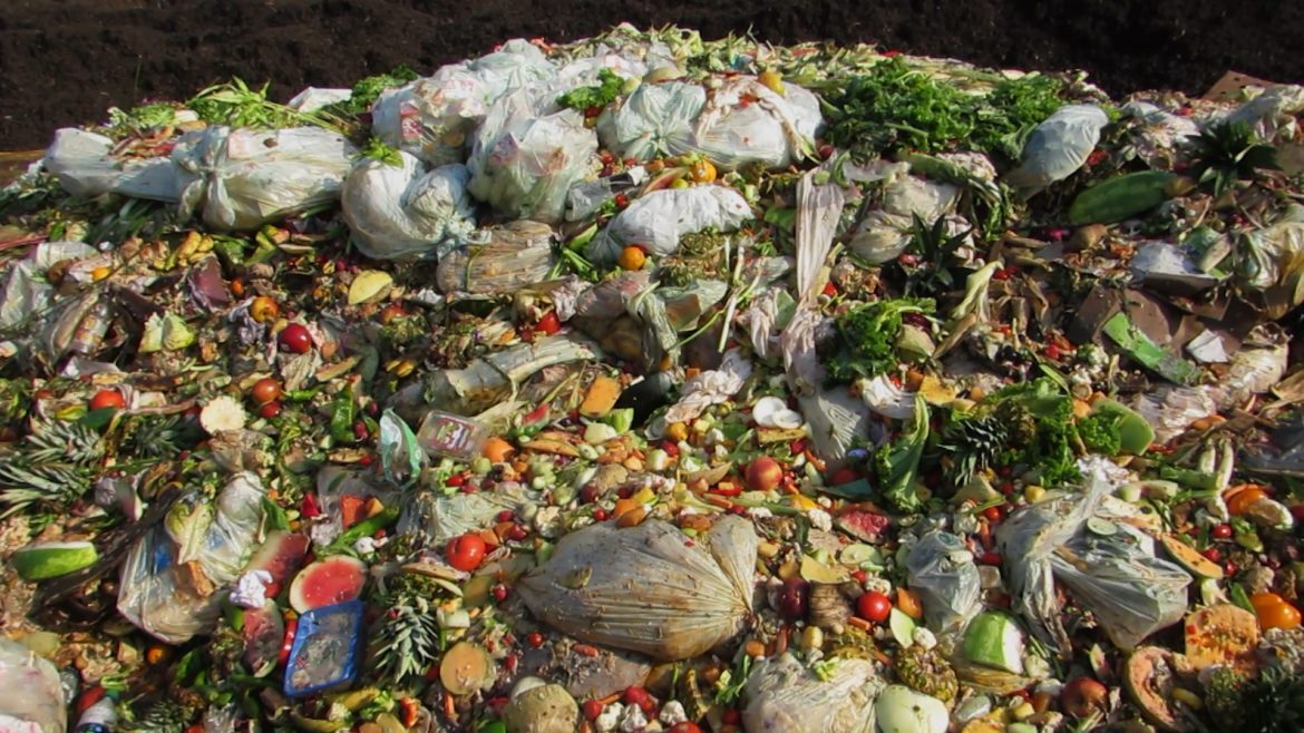 Food getting ready to be composted at Missouri Organic Recycling's facility in Liberty, Missouri.