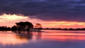 The cover of "Ripple: A Long Strange Search for a Killer," features a photo from the low country in coastal South Carolina.