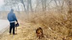 After picking up some supplies from Alice DelBosque of Angel Hearts Rescue Inc., Sabir and his pet Traxie walk off on their own.
