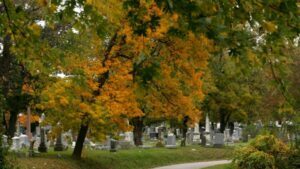 Visitors to Elmwood Cemetery can examine thousands of grave markers and monuments.