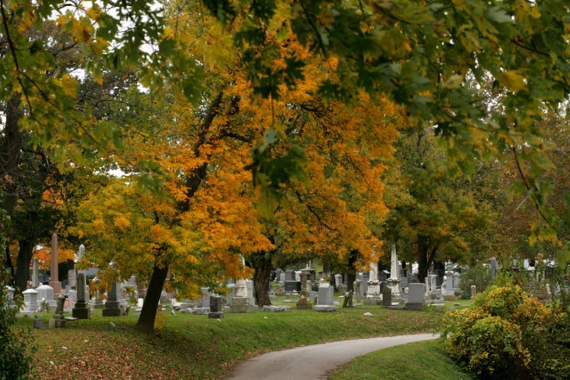 Visitors to Elmwood Cemetery can examine thousands of grave markers and monuments.