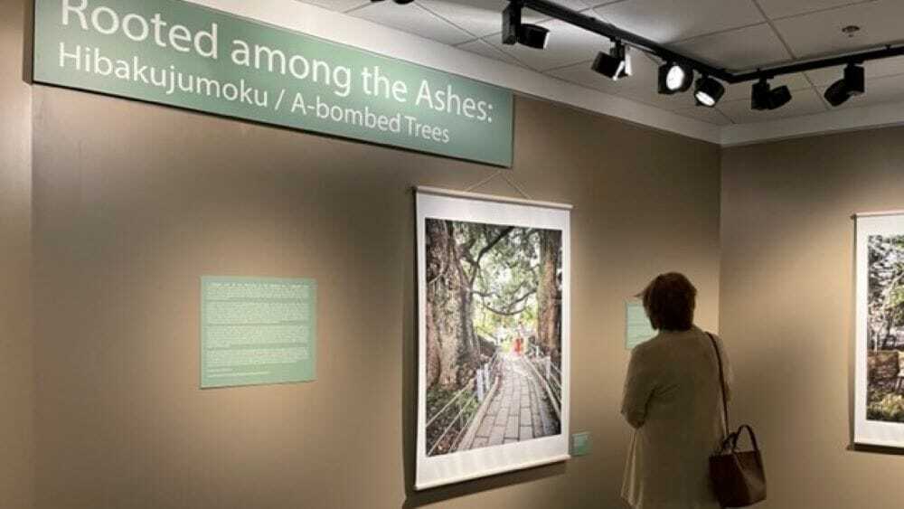 Truman Library visitors to the exhibit can examine Katy McCormick’s photographs displayed alongside witness testimonials of the bombings.