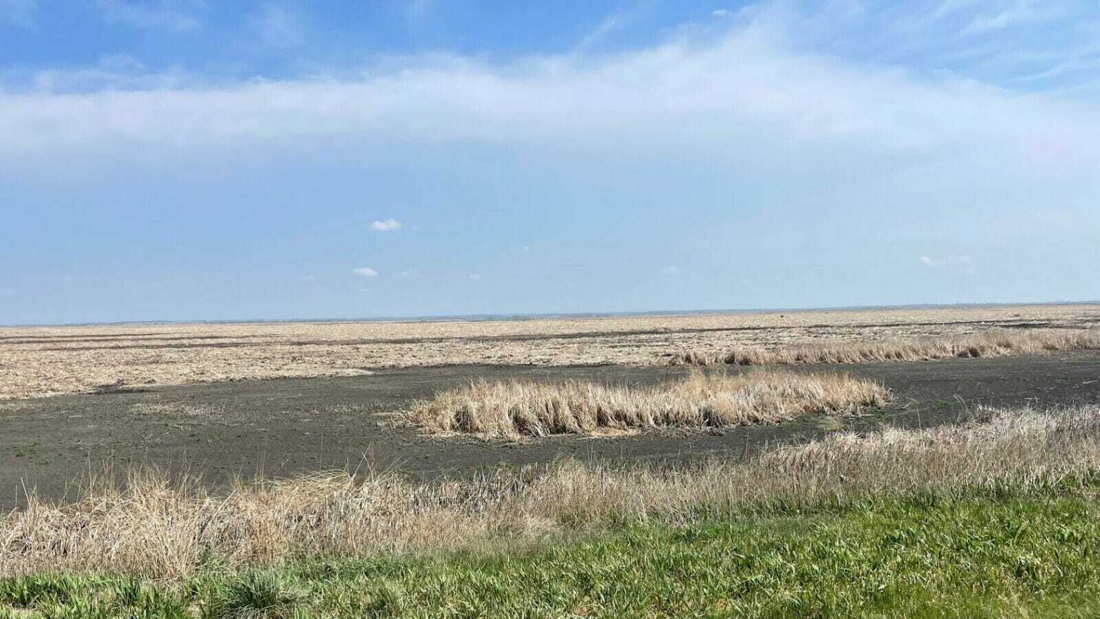 A dry and parched Cheyenne Bottoms wetlands area in central Kansas.