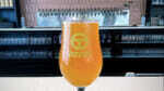 A glass of Transport Brewery beer on a bar.