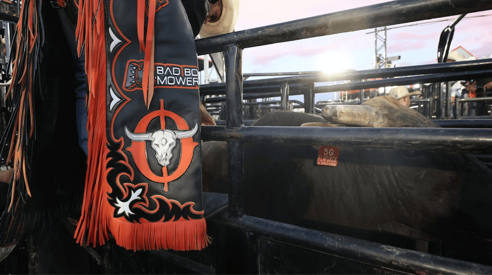 A rider prepares to mount a bull.