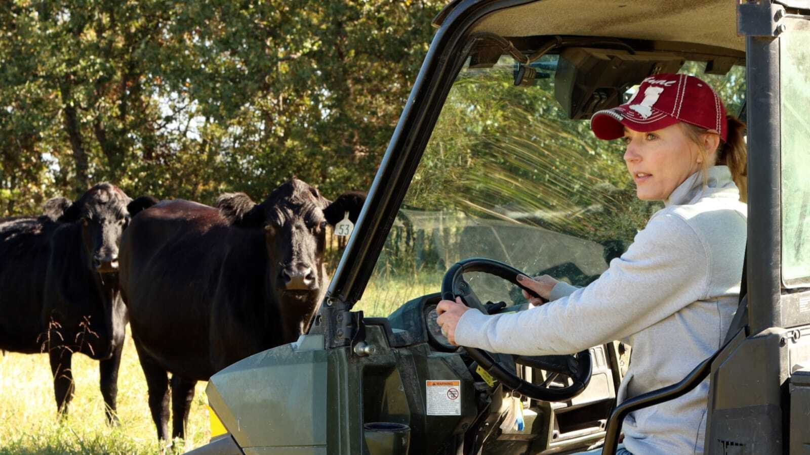 A woman sits at the steering wheel of a utility vehicle and looks out as a group of cows stand beside her.