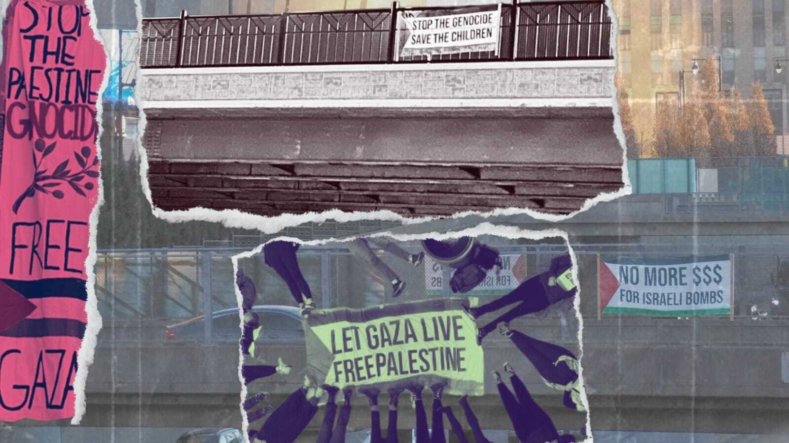 A collage of protest signs supporting Palestinians in Gaza.