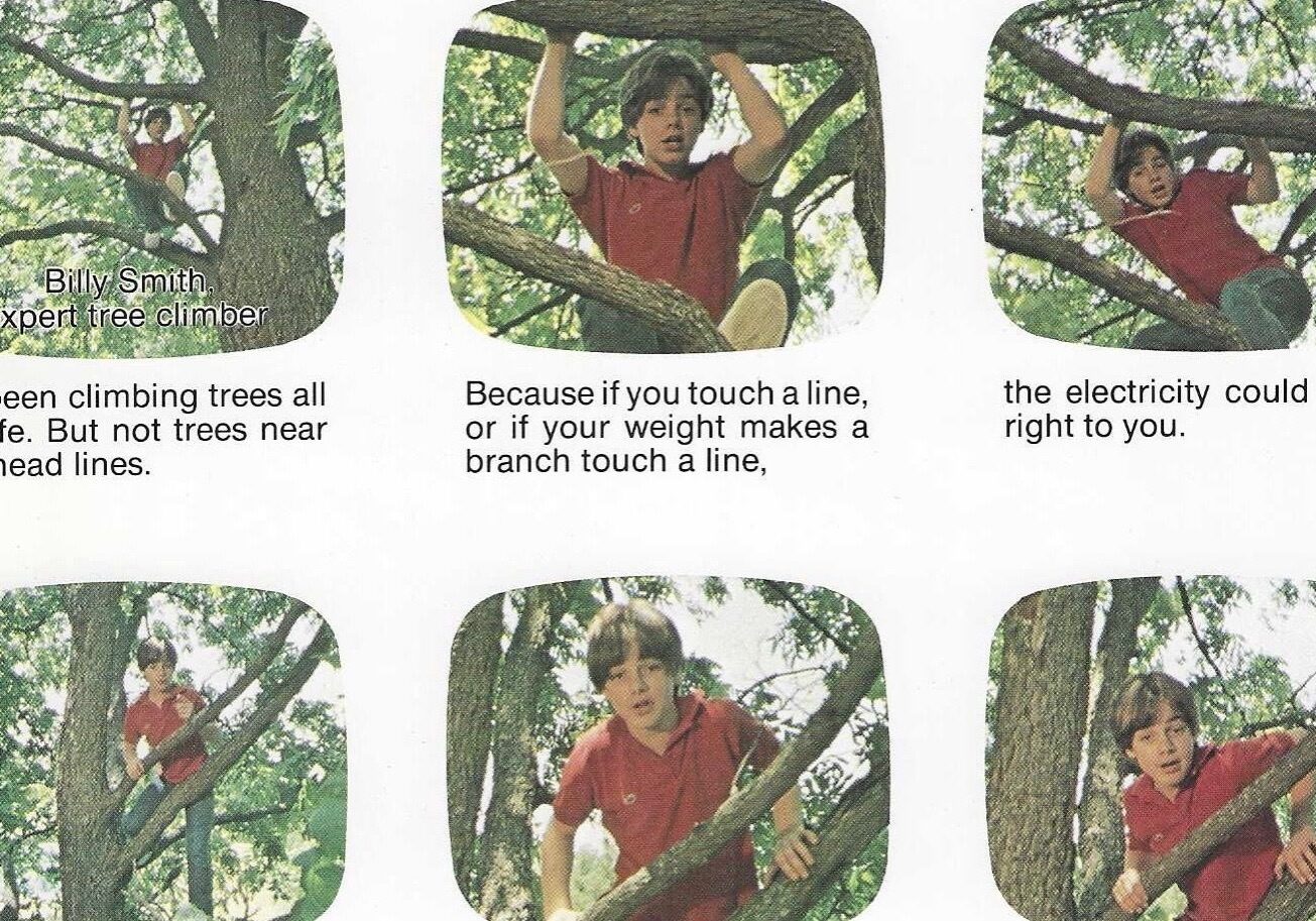 Six frames of the post-production storyboard for the Billy Smith Tree Climbing Expert PSA.