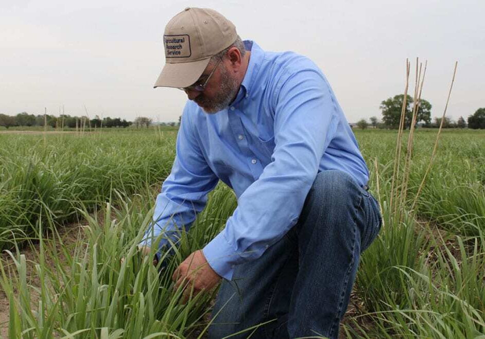 farmer