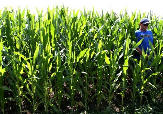 Nebraska farmer Nathan Dorn says he’s comfortable using chemical herbicides approved by the EPA. (Photo: Matt Brooks/NET News)