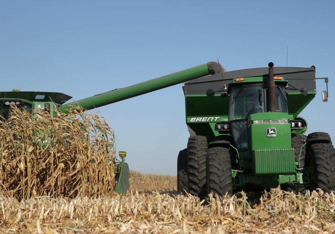 A corn harvester