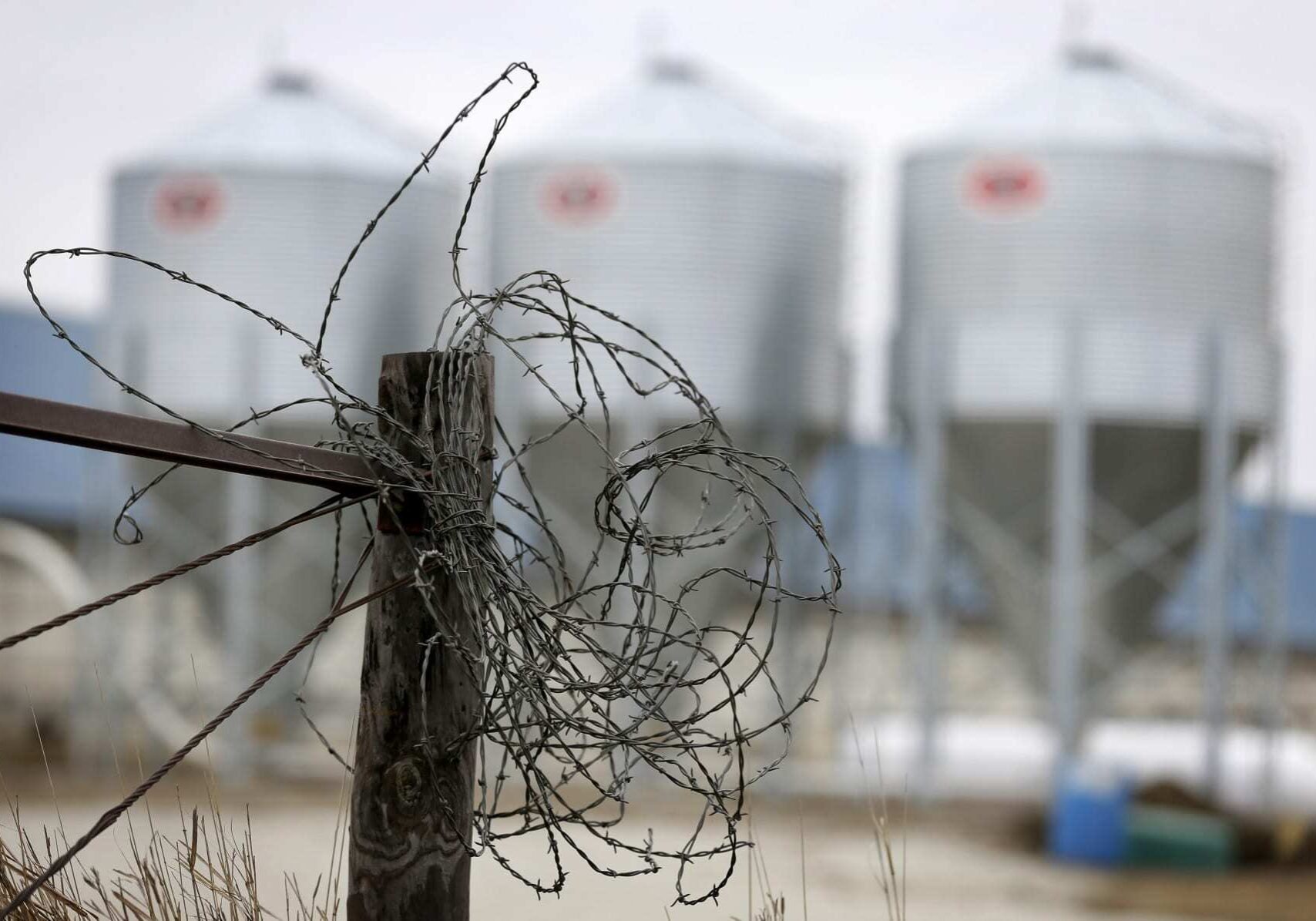 In this Thursday, Jan. 22, 2015 photo, barbwire hangs bundled up on a fence post near a hog confinement facility, near Orient, Iowa. From Washington state to North Carolina, federal lawsuits are challenging the livestock industry to change its ways, based on studies that increasingly show the impact phosphorous, nitrate and bacteria from fertilizer and accumulated manure have on lakes and rivers, as well as air pollution caused by particles that are harmful to respiratory health. (Photo: Charlie Neibergall | AP)