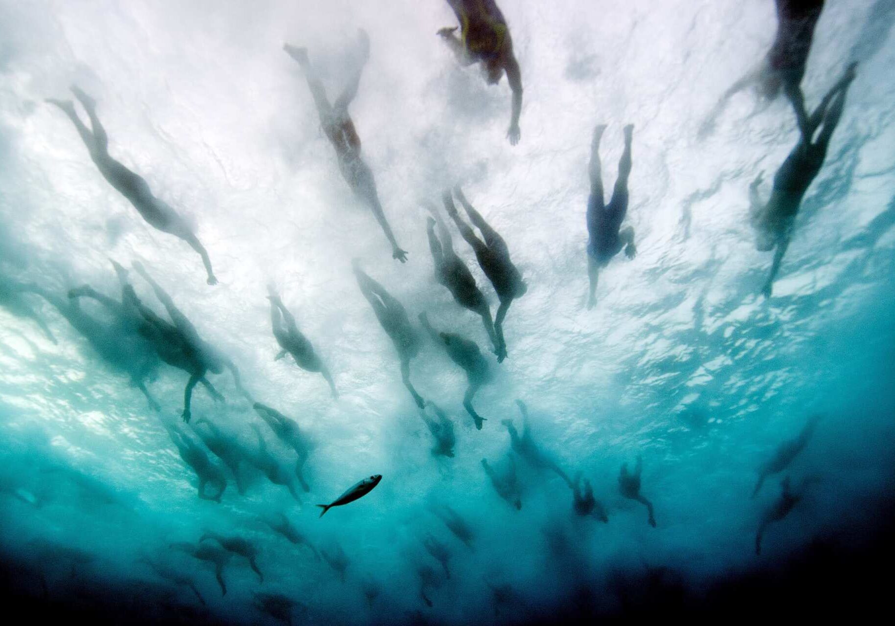 the start of the swimming portion of a triathalon