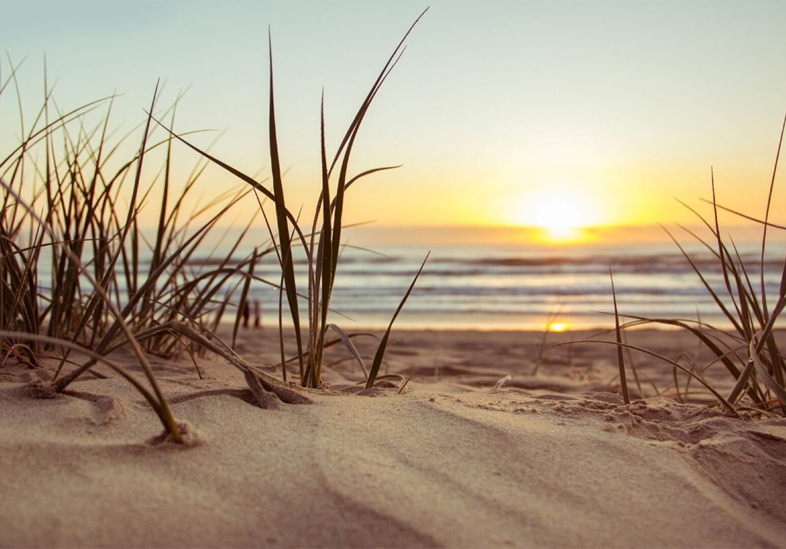 A beach scene.