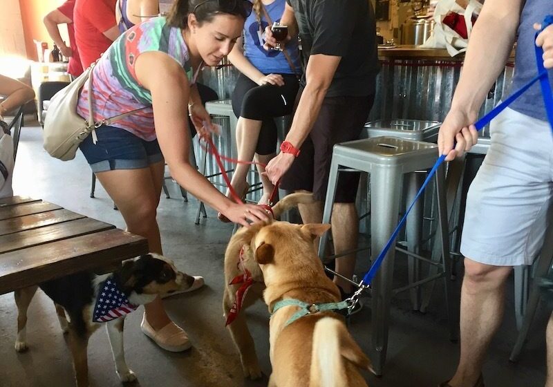 Beer Paws