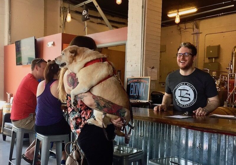 Beer Paws