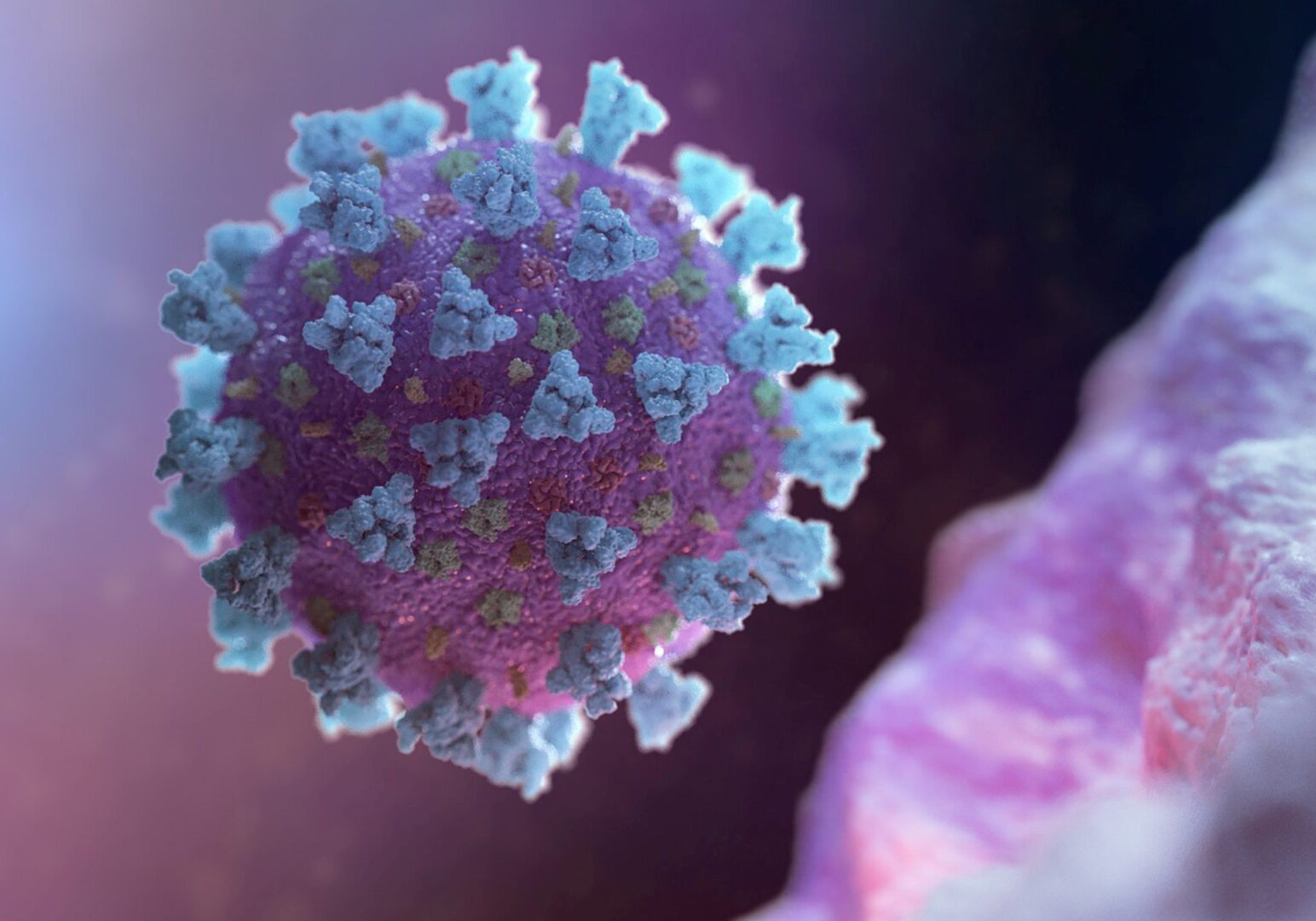 Coronavirus computer image