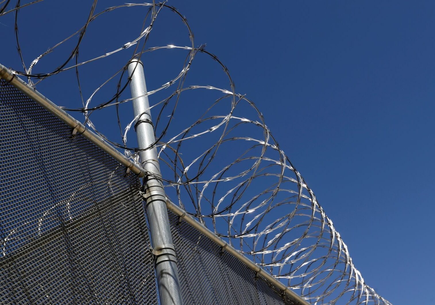 Wire fence