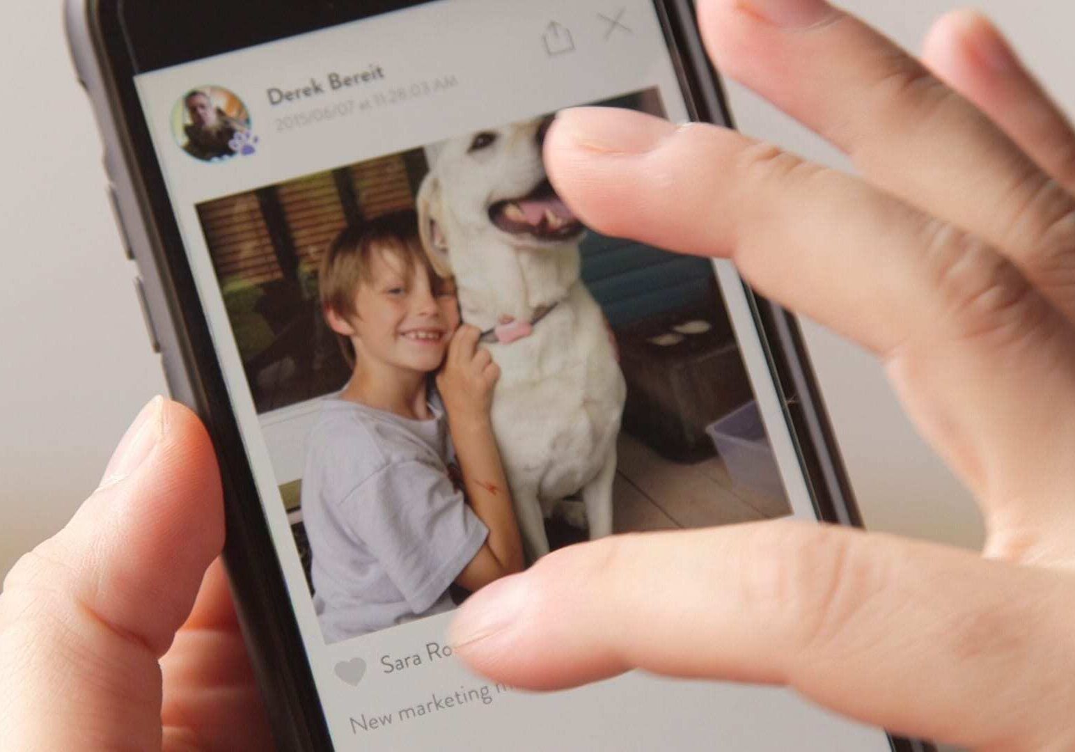 The FitBark App. 