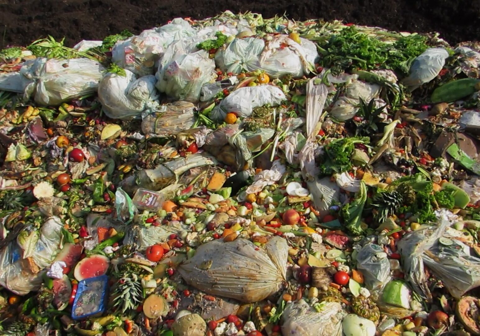 Food getting ready to be composted at Missouri Organic Recycling's facility in Liberty, Missouri.